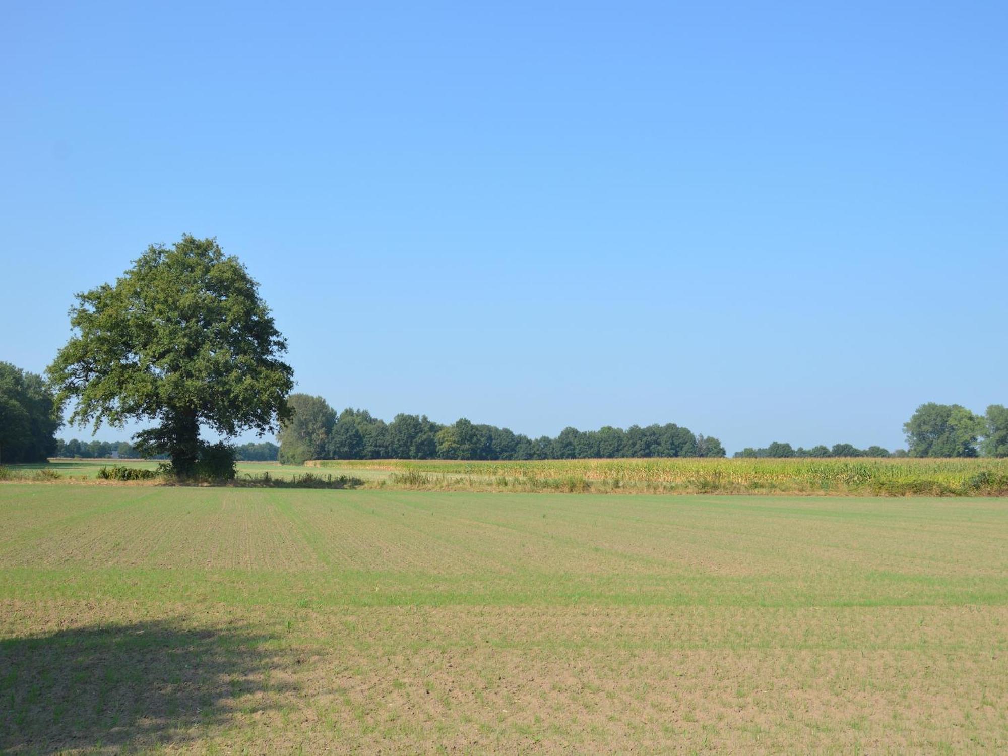 Quaint Farmhouse In Geesteren With Meadow View Eksteriør billede